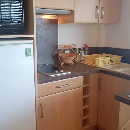 Apartmán Climatise, Renove, 4 Pers, Proche Et Commerces - Fr-1-696-95 *